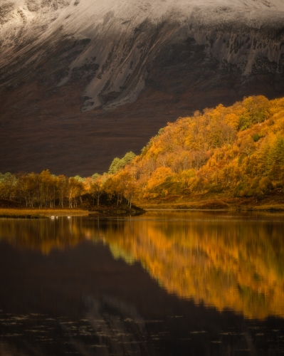 Mark Littlejohn30.jpg