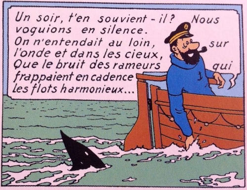 coluche, Tintin