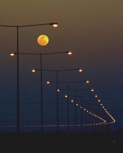 Saravanan Sadasivam, Georges Brassens